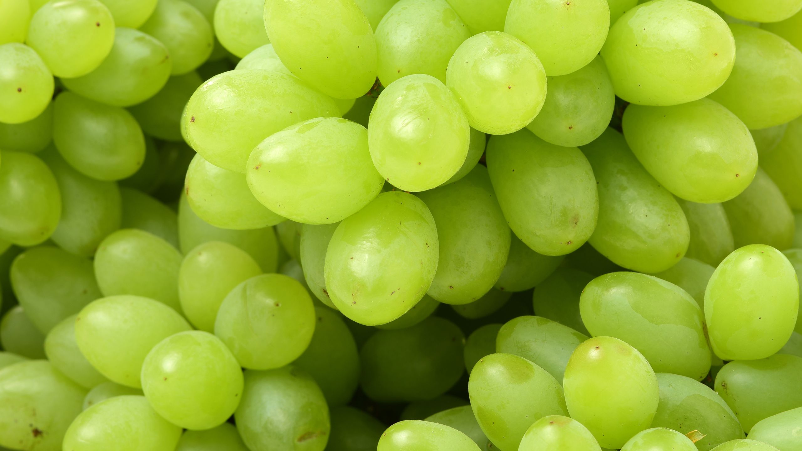 grapes export kothawale